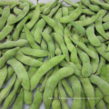 China IQF Frozen Soybeans Frozen Edamame